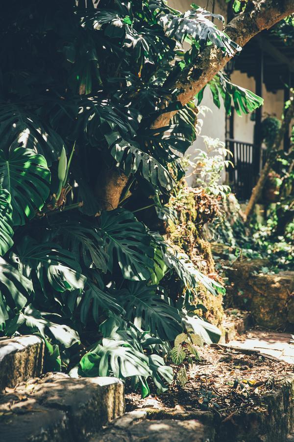 Hotel Hacienda Baza Tibana Extérieur photo
